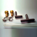 Hoses & Hose Fittings.png